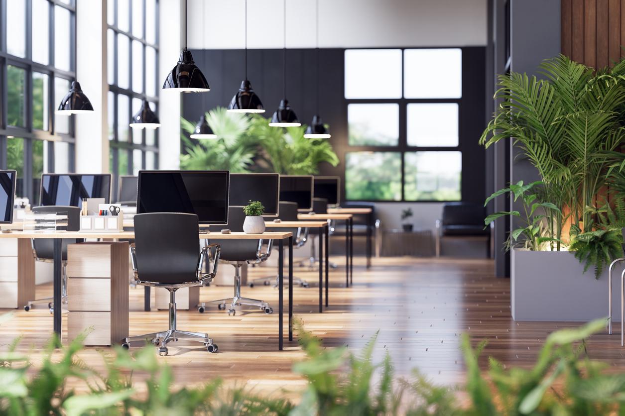 Modern open office with rows of desks, monitors, and greenery